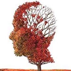 Meet your Posher, Go